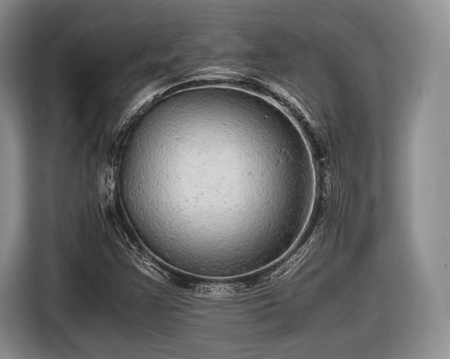 X0000116441355200912151231