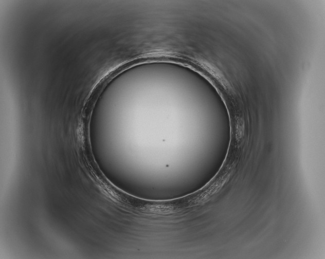 X0000116441356200912151231