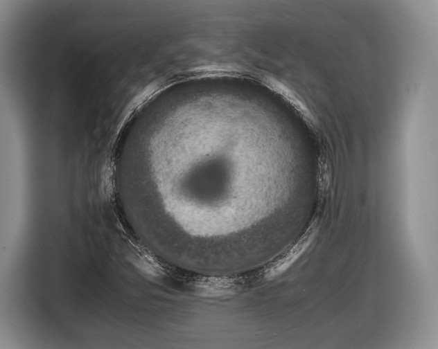 X0000116441357200912151231