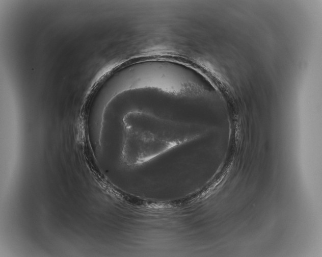 X0000116441358200912151231