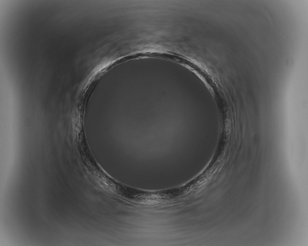 X0000116441359200912151231