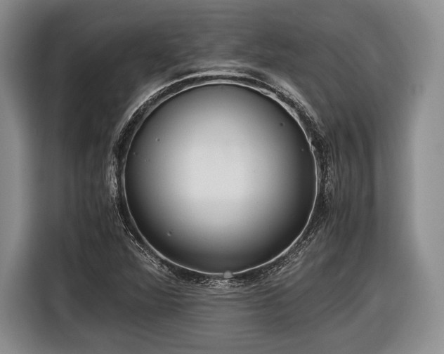 X0000116441360200912151231
