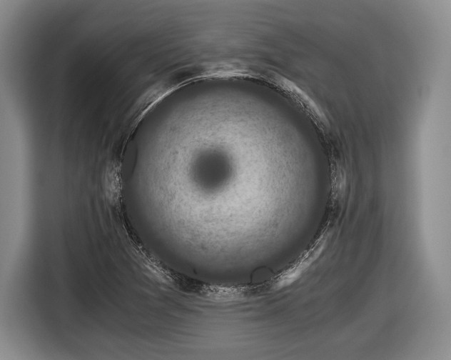 X0000116441361200912151231