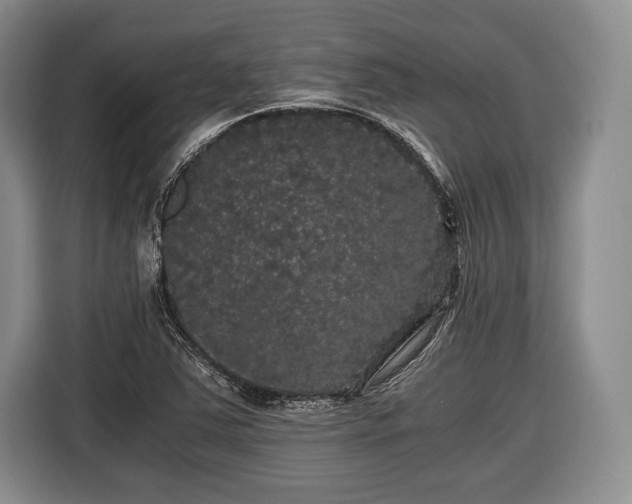 X0000116441363200912151231