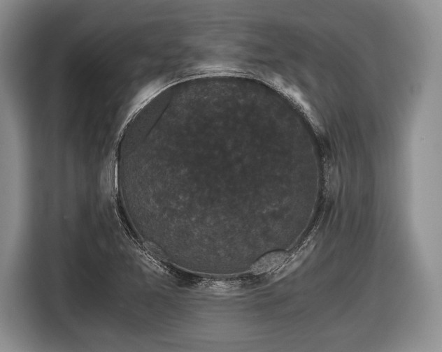 X0000116441365200912151231