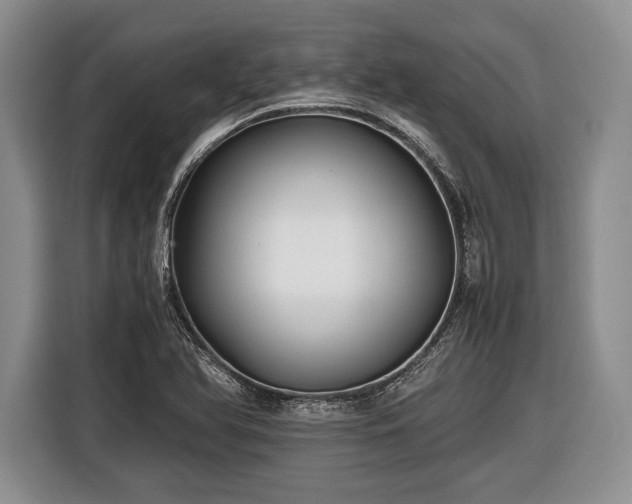 X0000116441366200912151231
