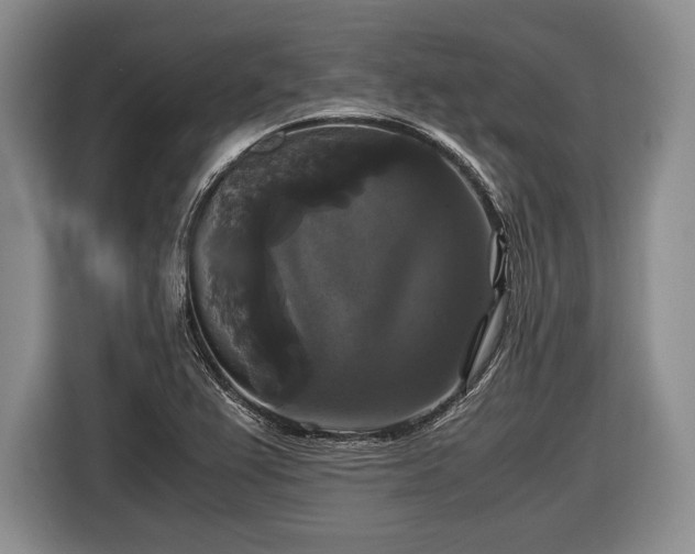 X0000116441367200912151231