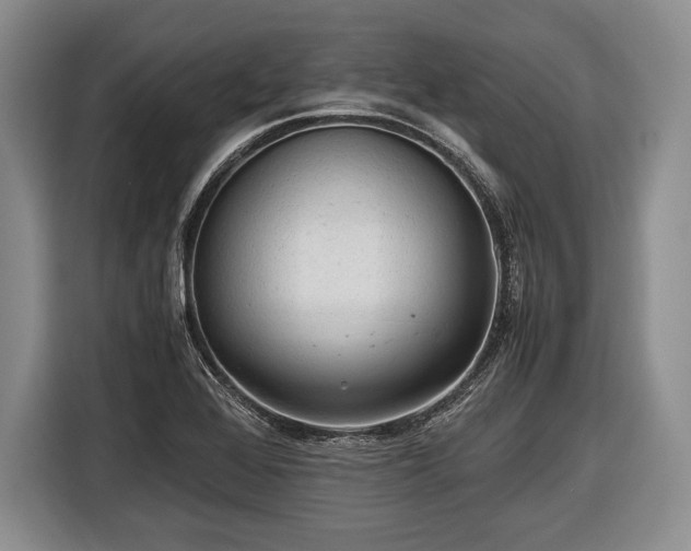 X0000116441368200912151231