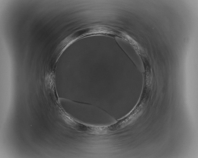 X0000116441369200912151231