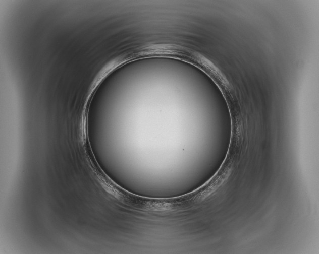 X0000116441370200912151231