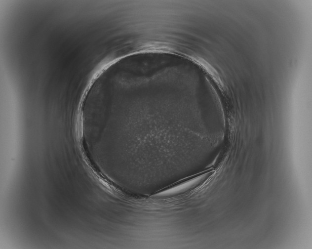 X0000116441371200912151231