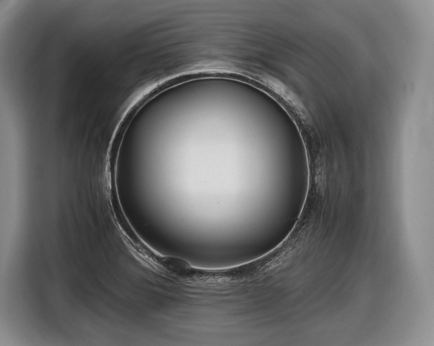 X0000116441372200912151231
