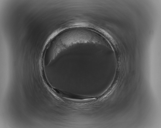 X0000116441373200912151231