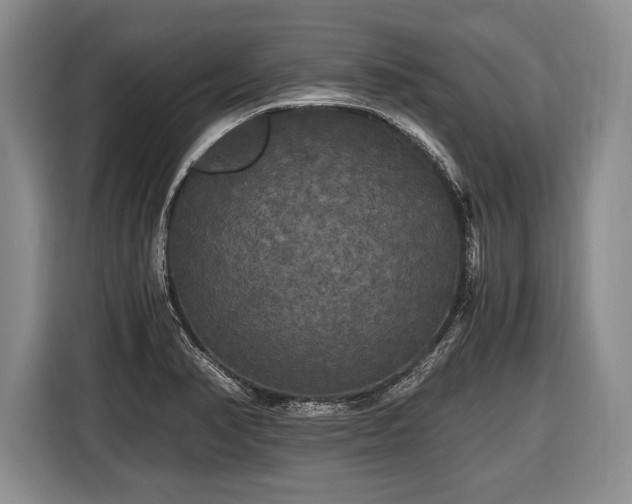 X0000116441374200912151231