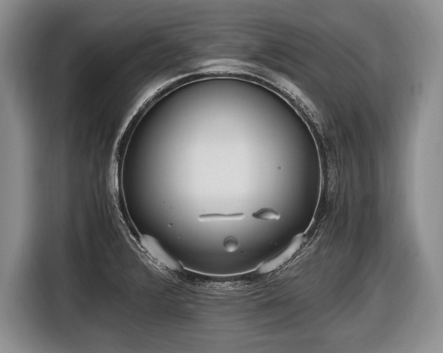 X0000116441376200912151231
