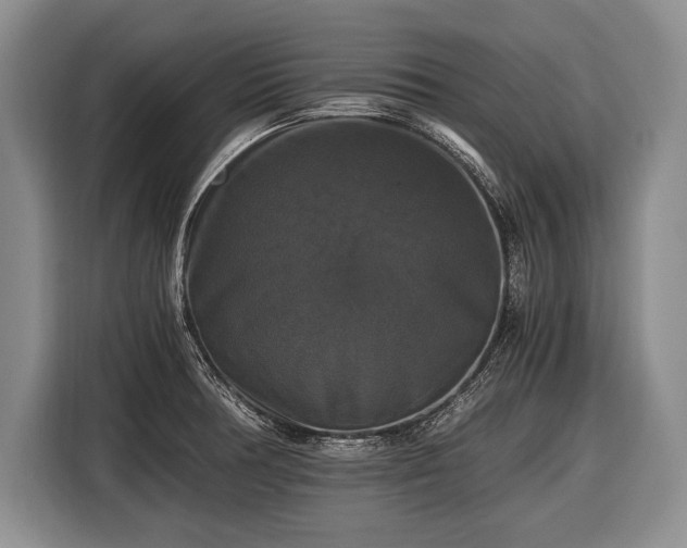 X0000116441378200912151231