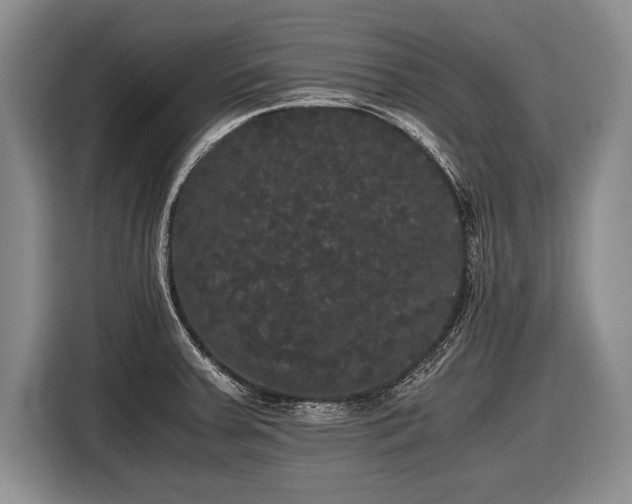 X0000116441379200912151231