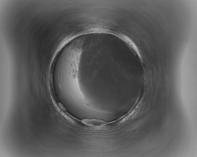 X0000116441381200912151231