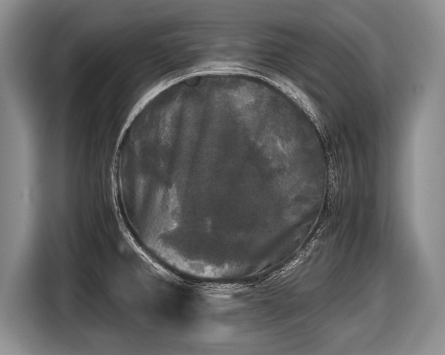 X0000116441382200912151231