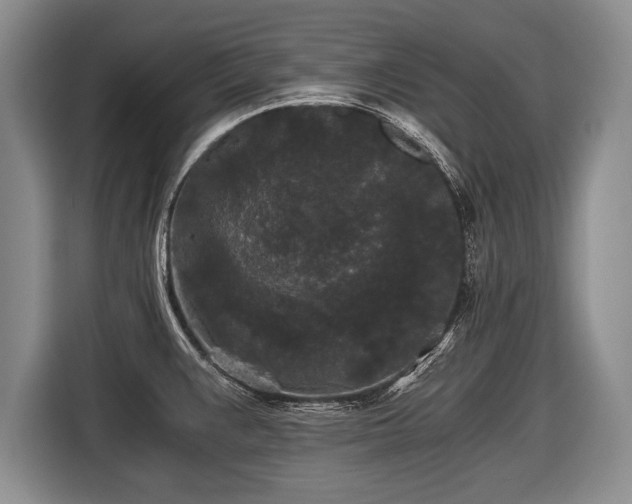 X0000116441383200912151231