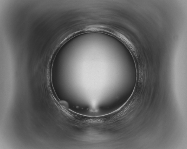 X0000116441384200912151231