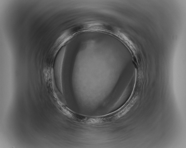 X0000116441385200912151231