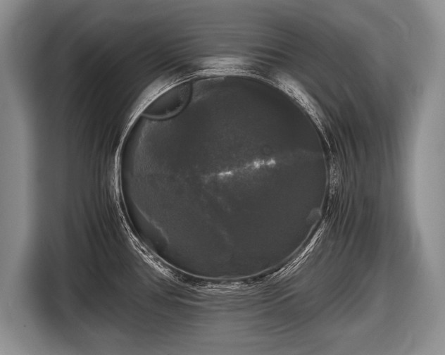 X0000116441386200912151231