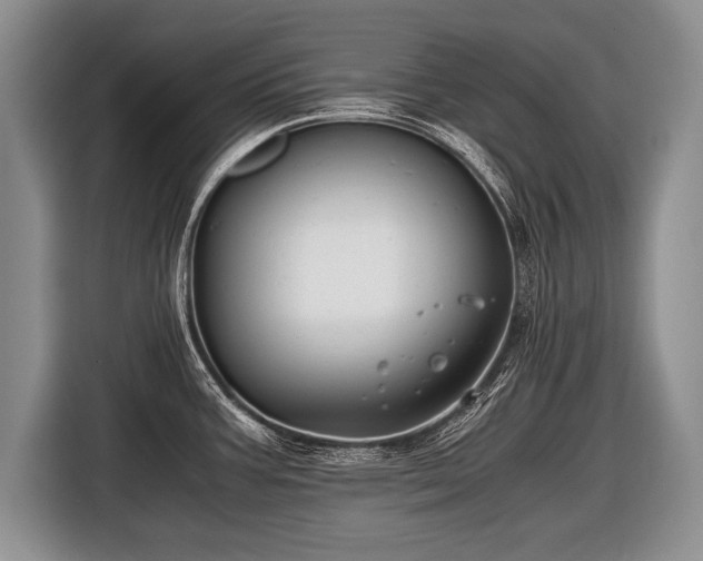 X0000116441387200912151231