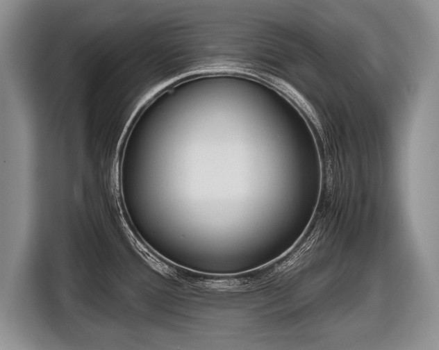 X0000116441388200912151231