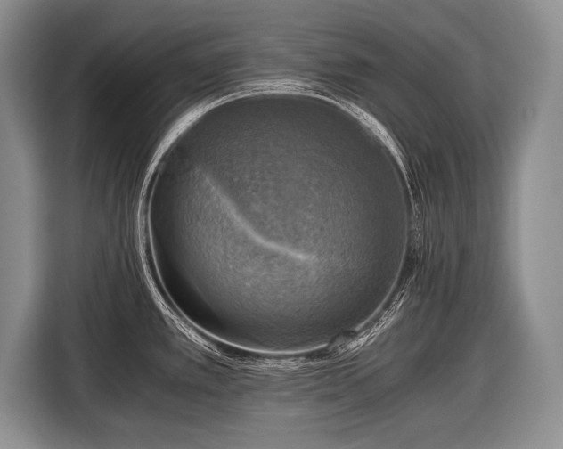 X0000116441389200912151231