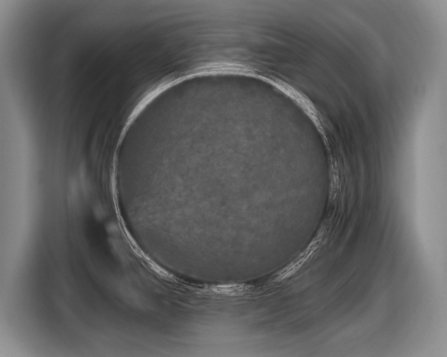 X0000116441390200912151231