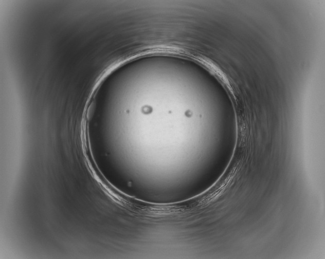 X0000116441391200912151231