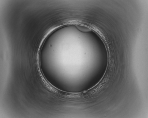 X0000116441392200912151231