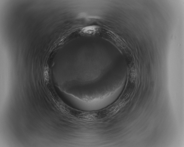 X0000116441394200912151230