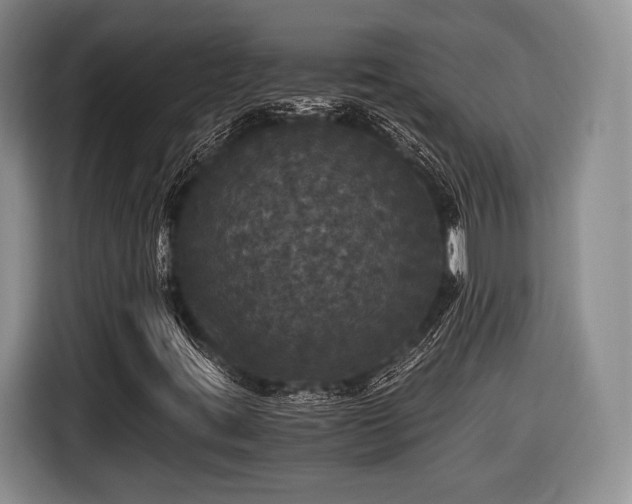 X0000116441395200912151230