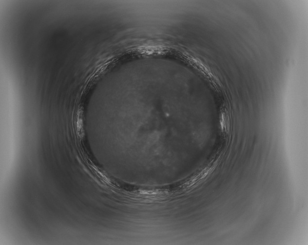 X0000116441396200912151230