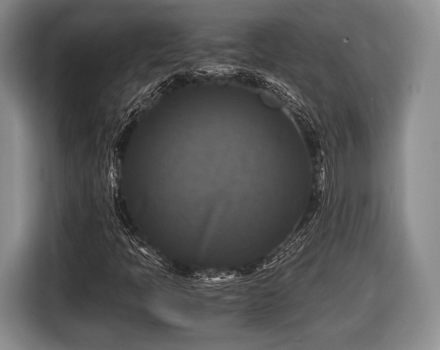 X0000116441397200912151230