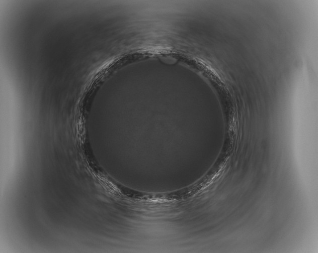 X0000116441398200912151230