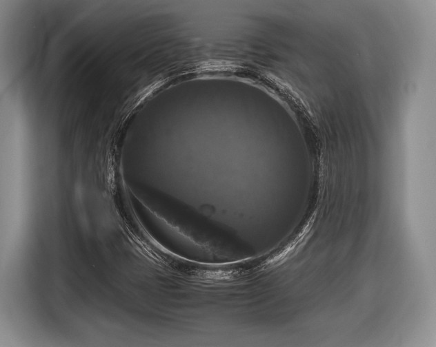X0000116441401200912151230