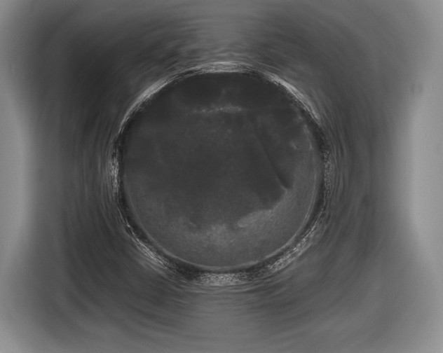 X0000116441402200912151230