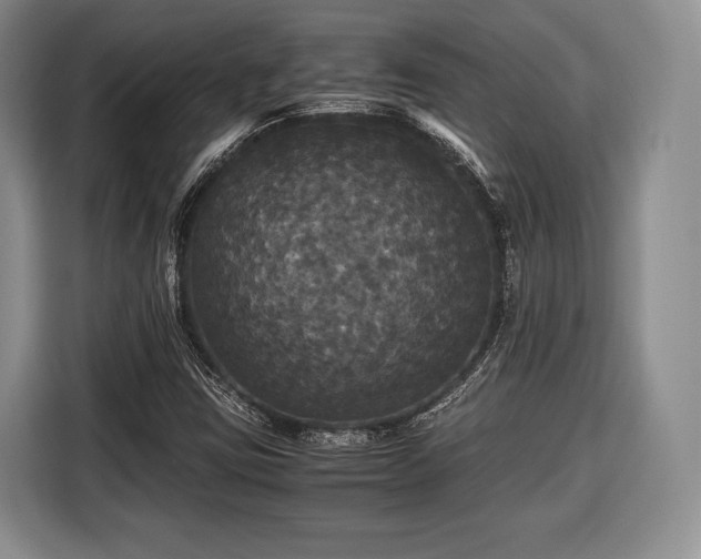 X0000116441403200912151231