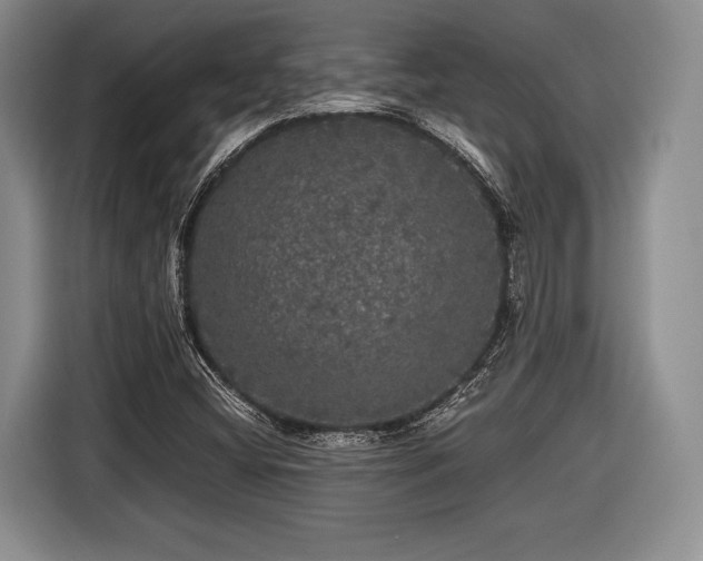 X0000116441404200912151231