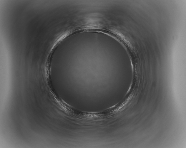 X0000116441405200912151231
