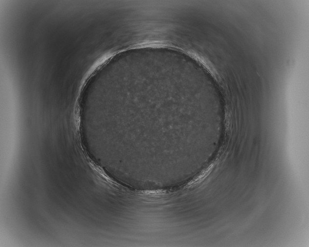 X0000116441406200912151231