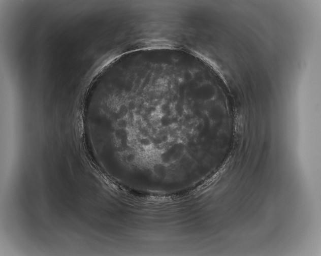 X0000116441407200912151231