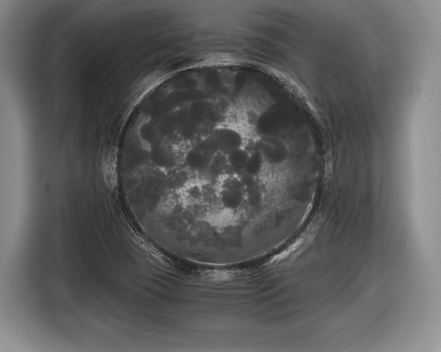 X0000116441409200912151231