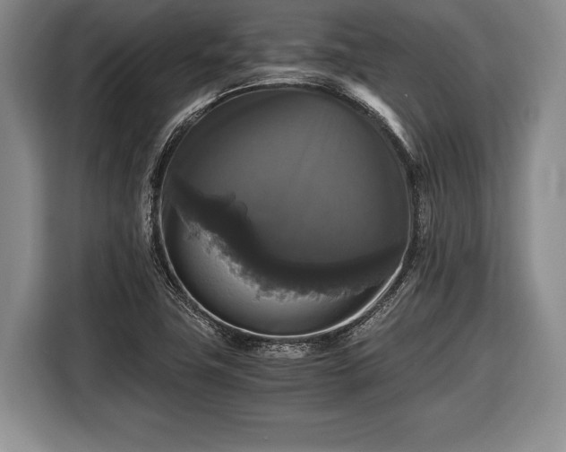 X0000116441411200912151231