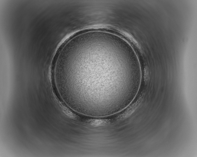 X0000116441412200912151231