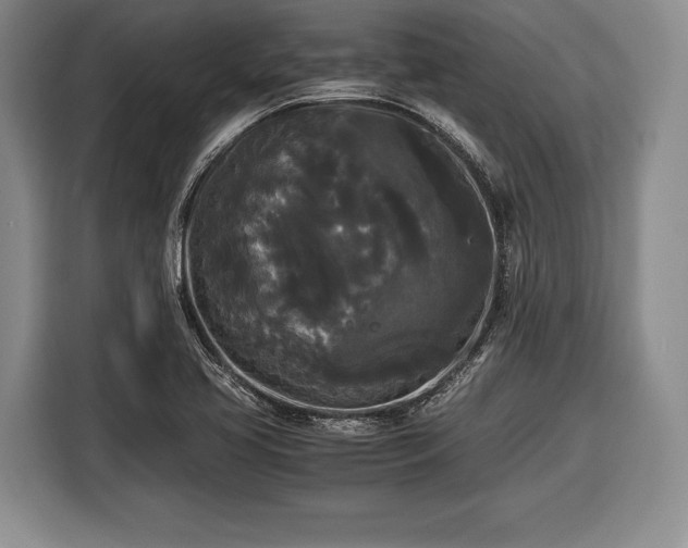 X0000116441413200912151231