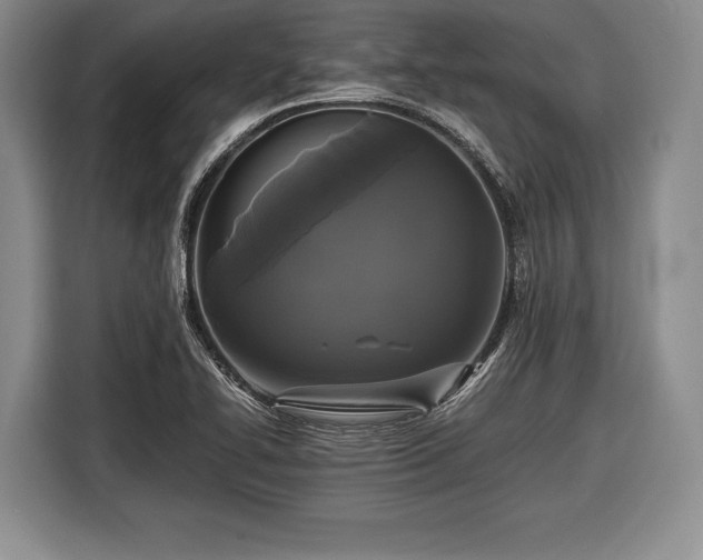 X0000116441414200912151231